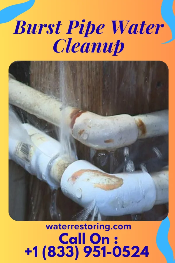 Burst Pipe Water Cleanup in East McKeesport, PA