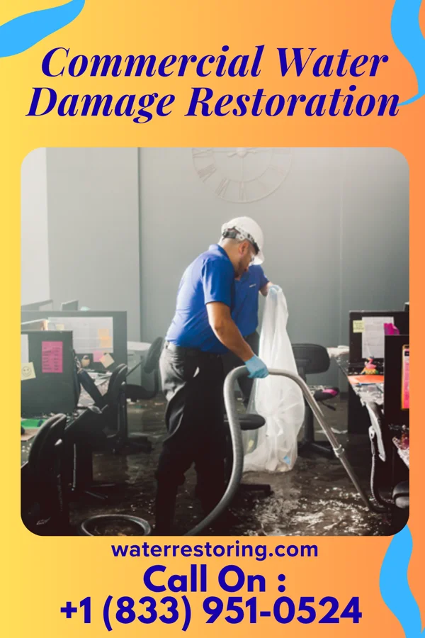 Commercial Water Damage Restoration in East McKeesport, PA
