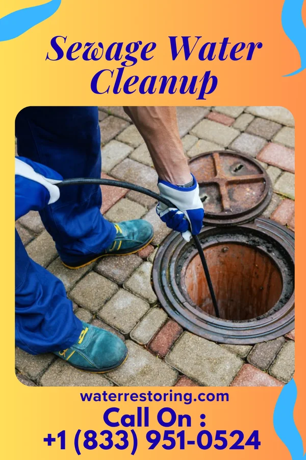 Sewage Water Cleanup in East McKeesport, PA
