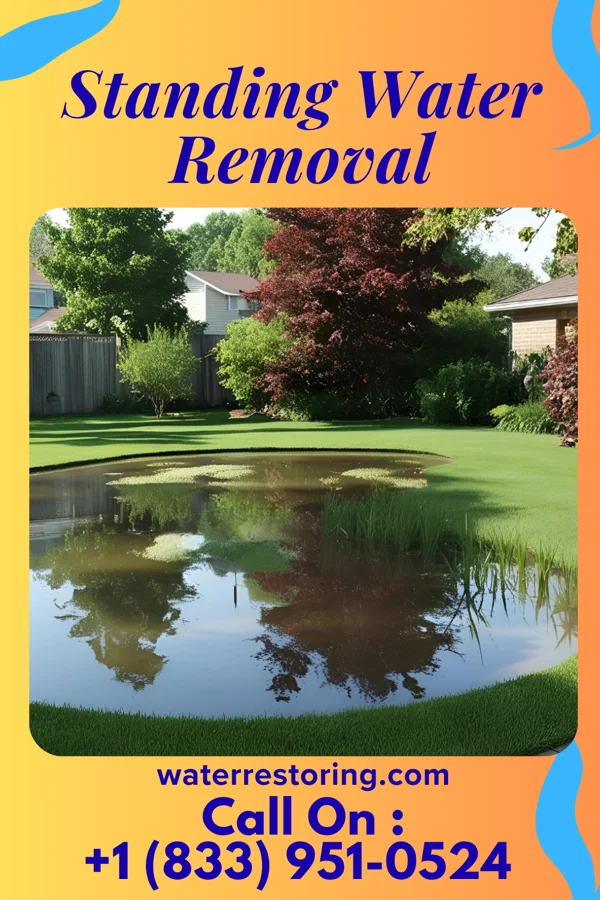 Standing Water Removal in East McKeesport, PA